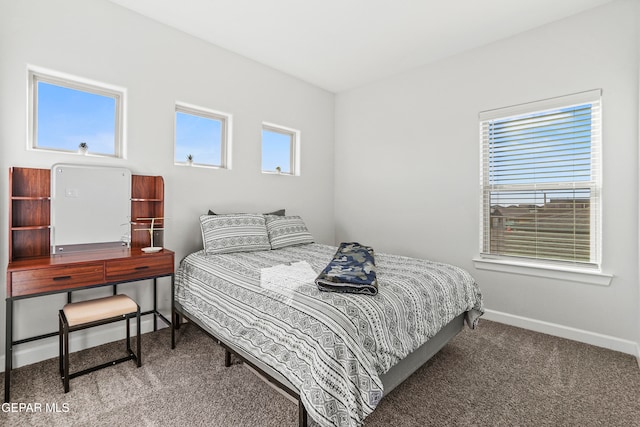 carpeted bedroom with multiple windows