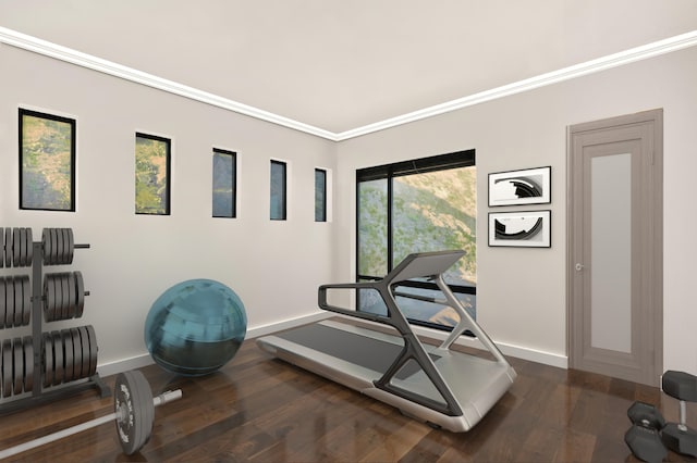 exercise area with dark hardwood / wood-style floors and crown molding