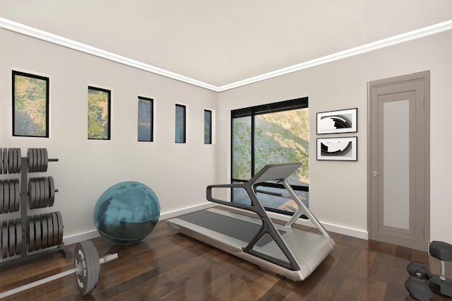1609 Camino Alto Rd, El Paso, TX 79902 - workout room featuring baseboards, dark wood-style floors, and ornamental molding