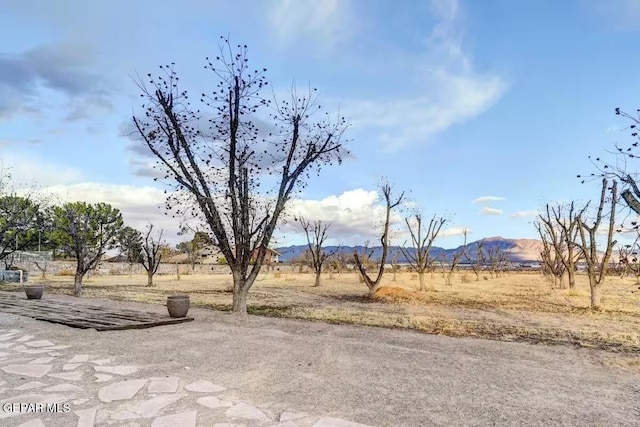 view of yard featuring a rural view and a mountain view