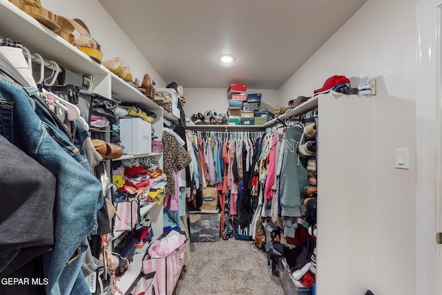 spacious closet featuring carpet flooring