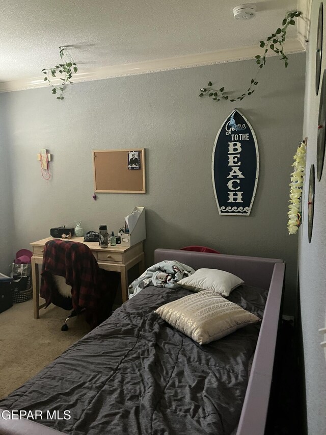 6357 Calle Del Rio Ln, El Paso, TX 79912 - photo 9