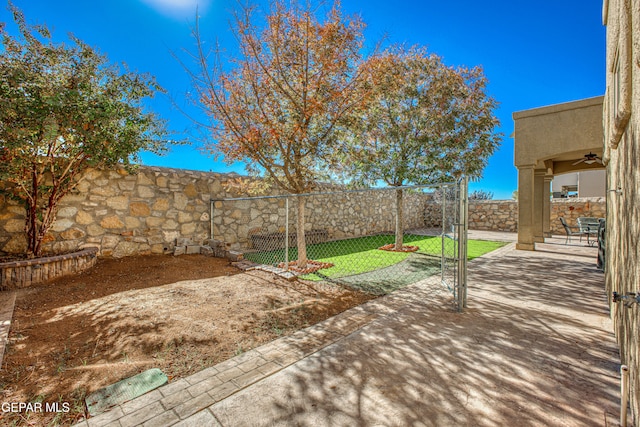 view of yard with a patio area