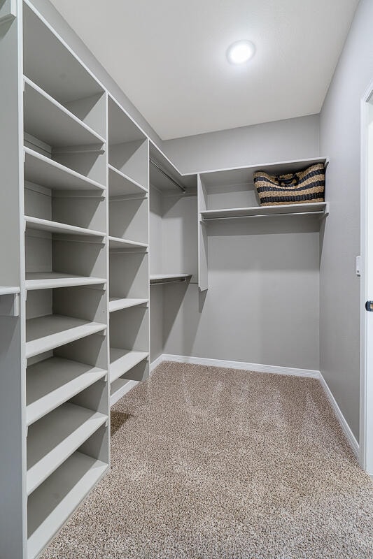 spacious closet featuring carpet floors