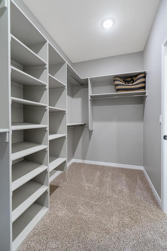 208 Playa Vista St, Horizon City, TX 79928 - spacious closet featuring carpet flooring