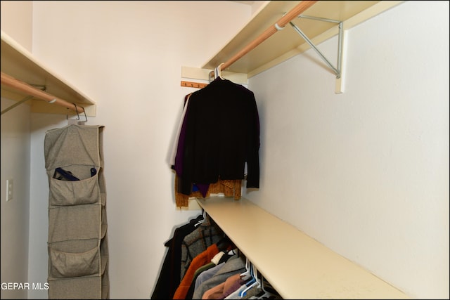 view of walk in closet