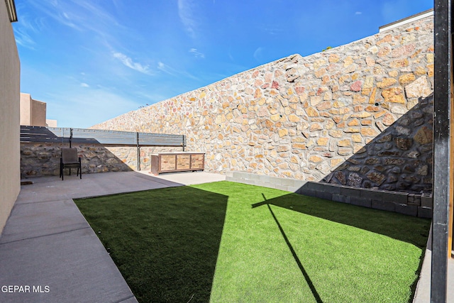 view of yard featuring a patio area