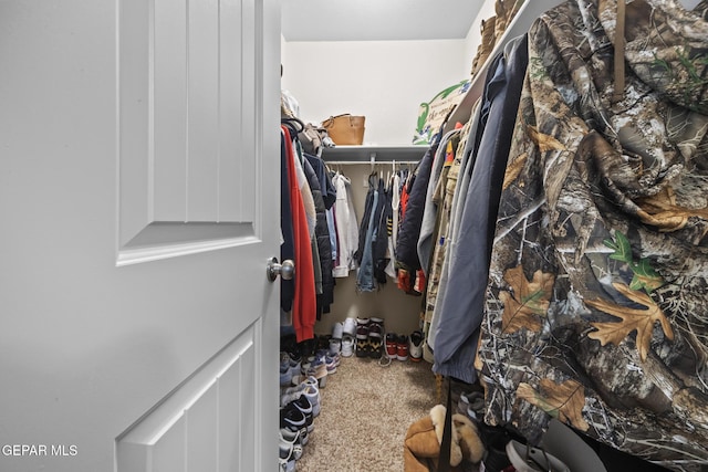 spacious closet with carpet