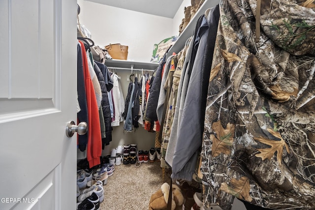 walk in closet with carpet floors