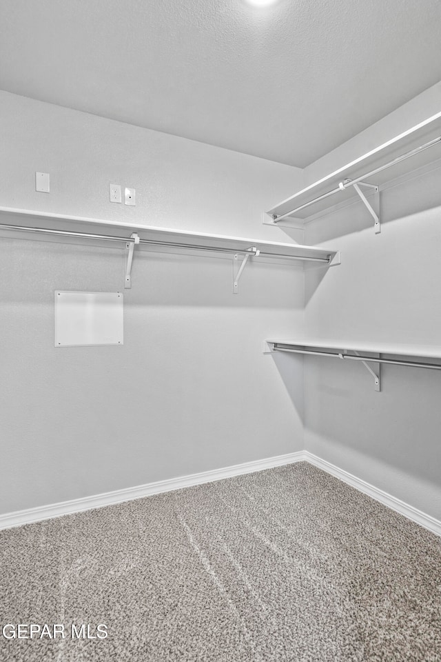 walk in closet featuring carpet floors