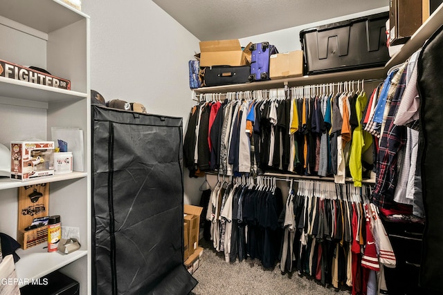 walk in closet featuring carpet floors