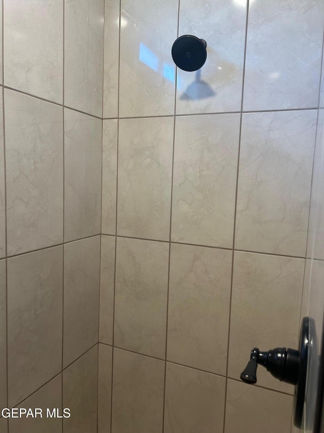 room details with tiled shower