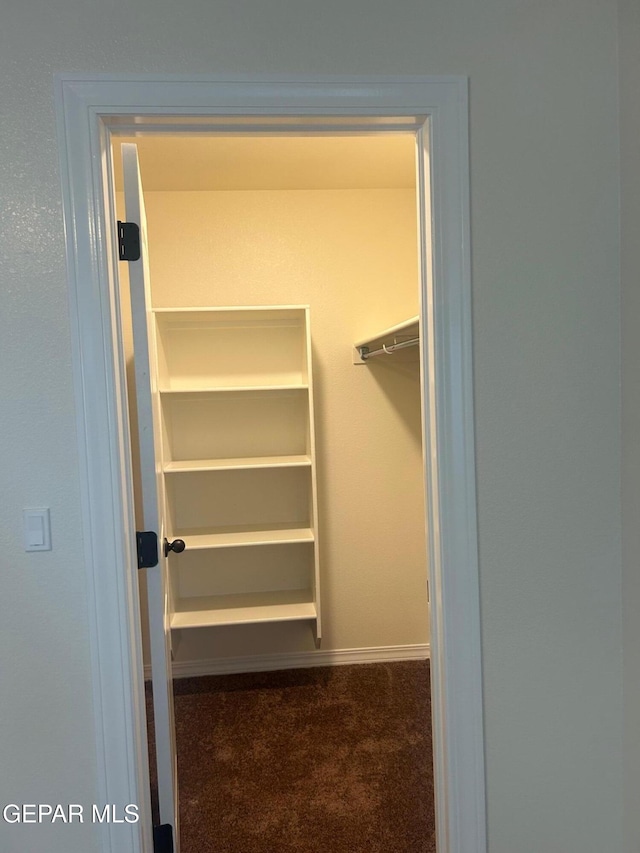 walk in closet featuring dark carpet