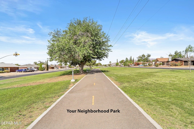 view of community with a yard