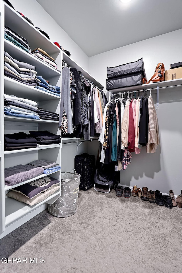 spacious closet featuring carpet