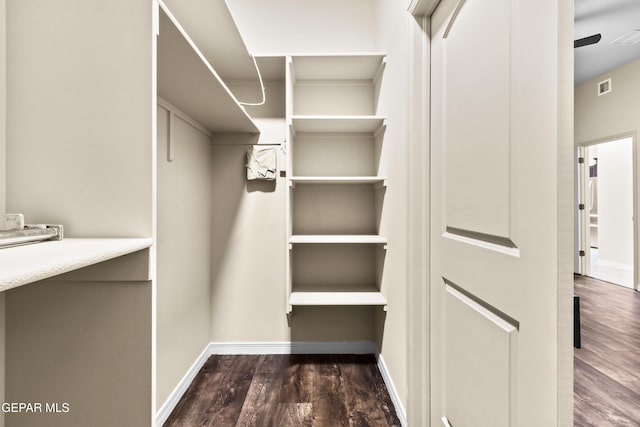 spacious closet featuring dark wood-type flooring