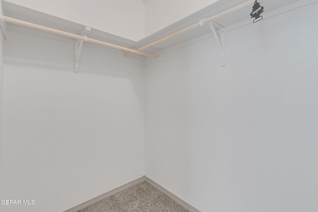 spacious closet featuring carpet flooring