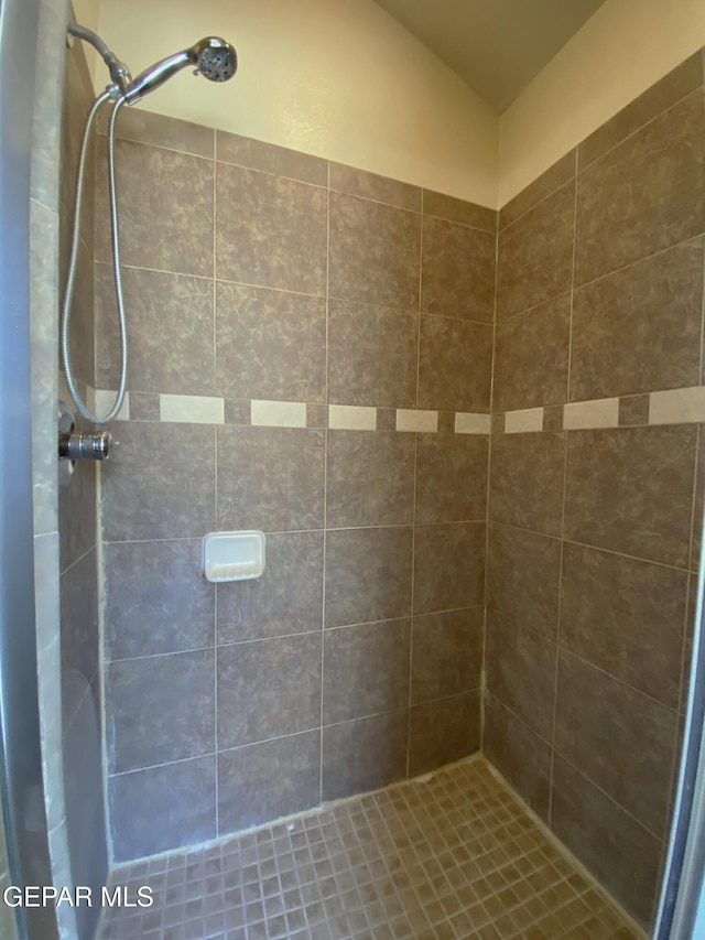 bathroom featuring a shower with shower curtain