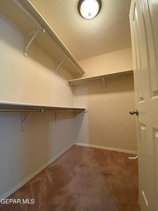 spacious closet featuring carpet flooring