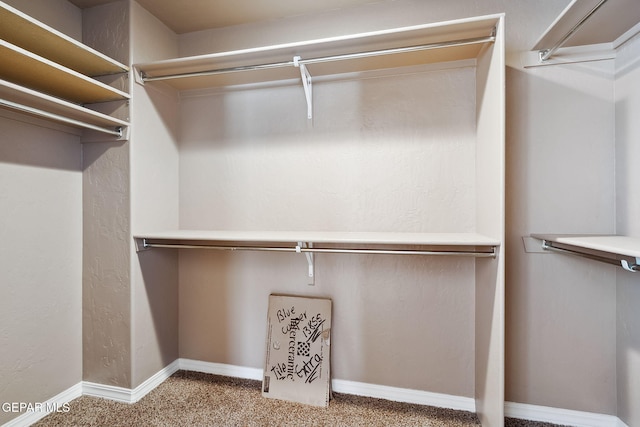 walk in closet featuring carpet flooring