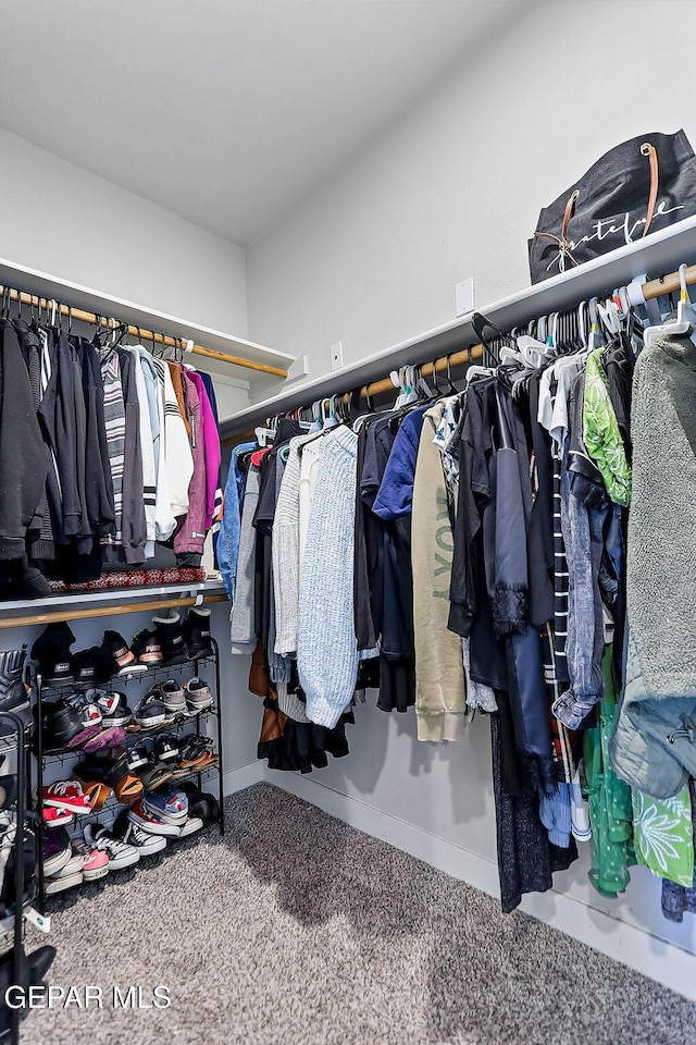 spacious closet with carpet floors