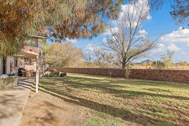 view of yard featuring a patio area