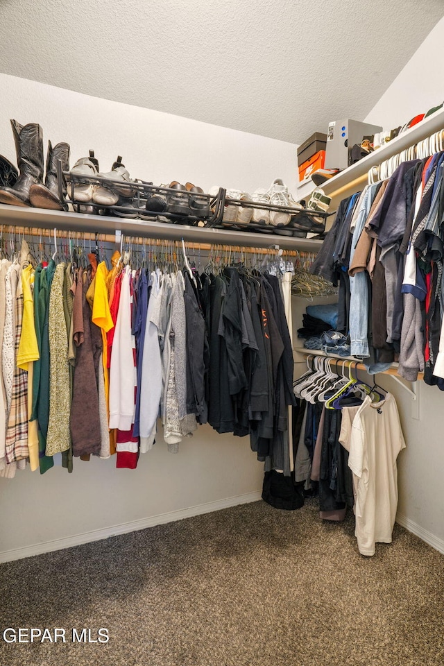 walk in closet with carpet floors