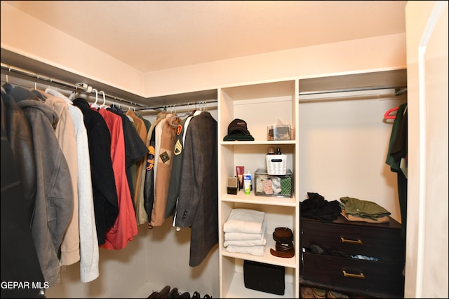 view of spacious closet