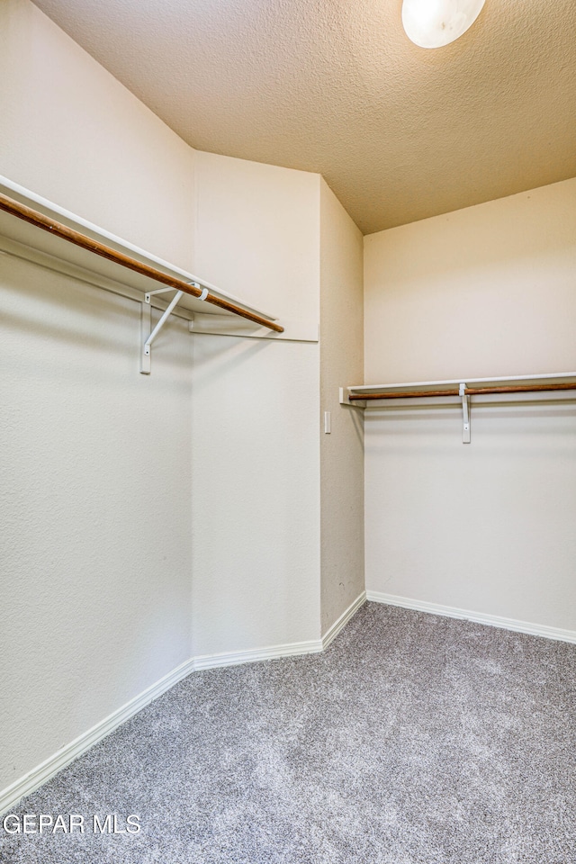 spacious closet featuring carpet floors