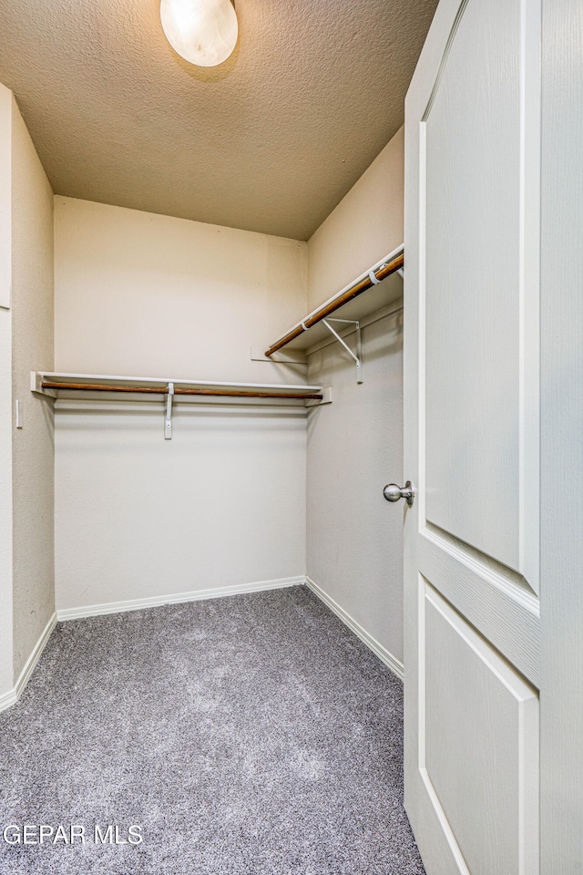 walk in closet with carpet flooring