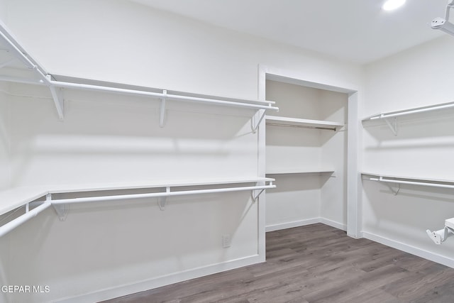 spacious closet featuring dark hardwood / wood-style floors