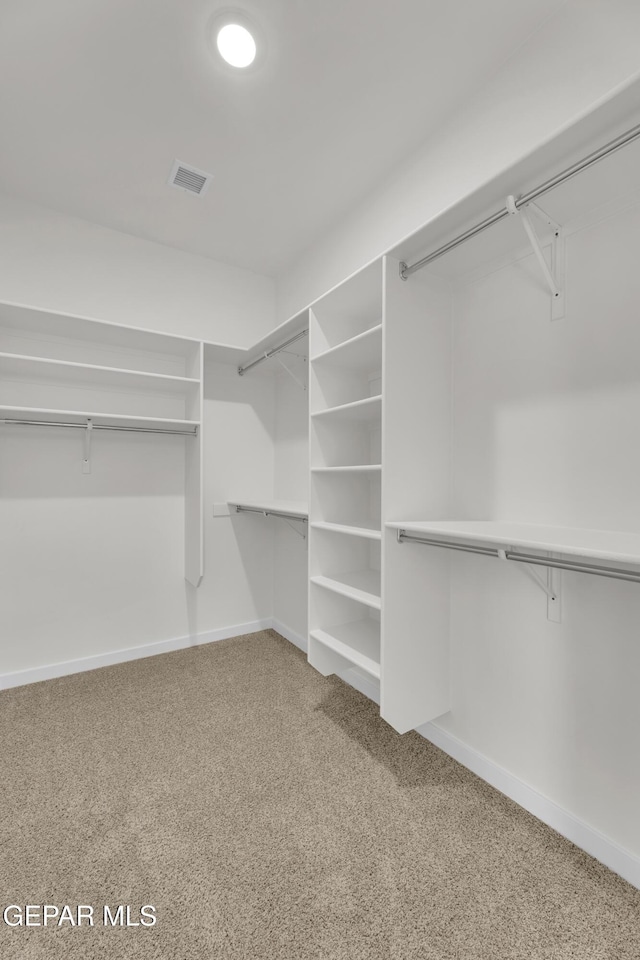 walk in closet featuring carpet floors