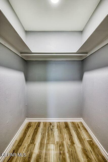 spacious closet with wood-type flooring