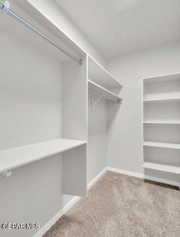 spacious closet with carpet floors