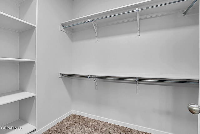 walk in closet featuring carpet