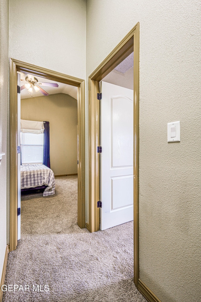 corridor with carpet floors