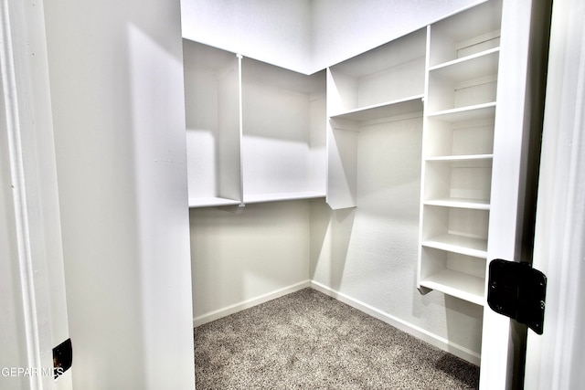 walk in closet featuring carpet