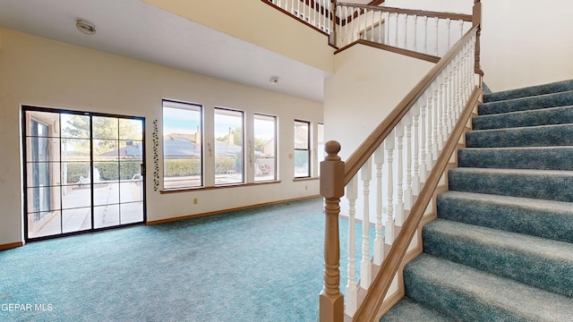 stairs featuring carpet floors