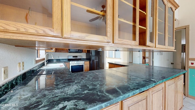 kitchen featuring a wealth of natural light, ceiling fan, sink, and black appliances