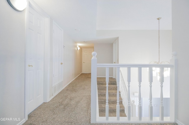 hallway featuring carpet