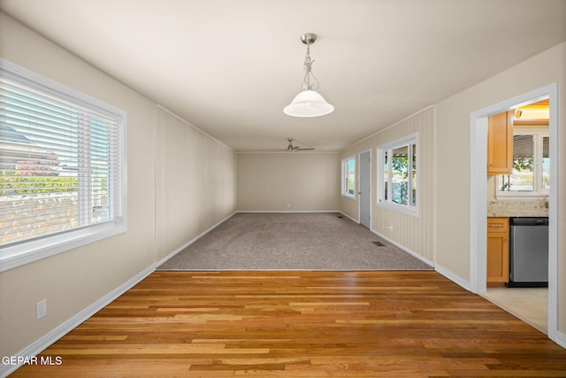 interior space featuring light hardwood / wood-style floors, ceiling fan, and a healthy amount of sunlight