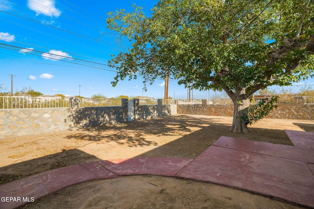 view of yard with a patio area