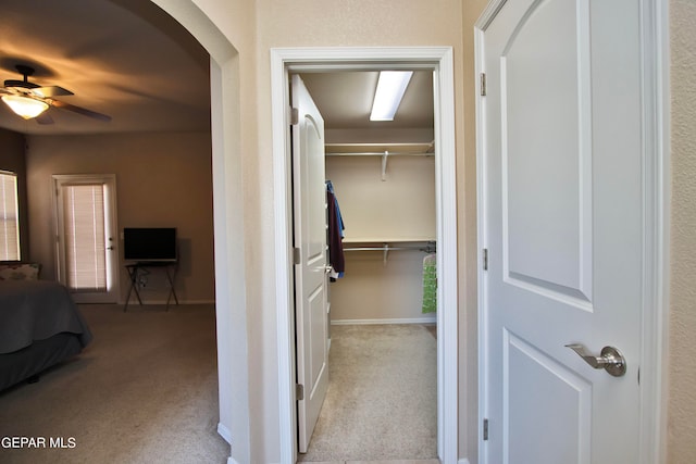 walk in closet featuring light carpet and ceiling fan