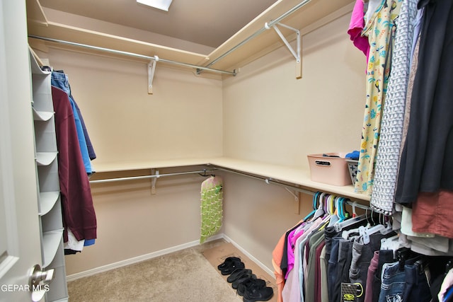 walk in closet featuring carpet