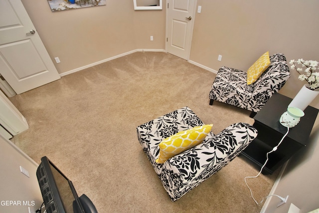 living area featuring light colored carpet