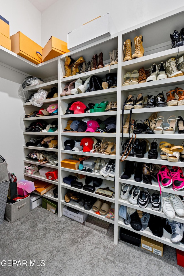 spacious closet featuring carpet