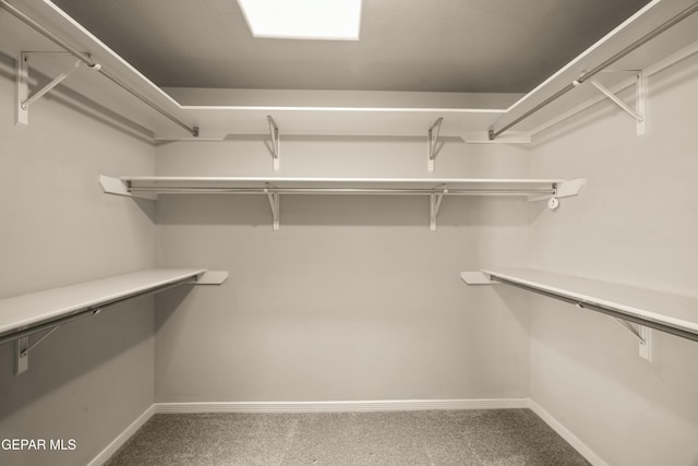 spacious closet with carpet