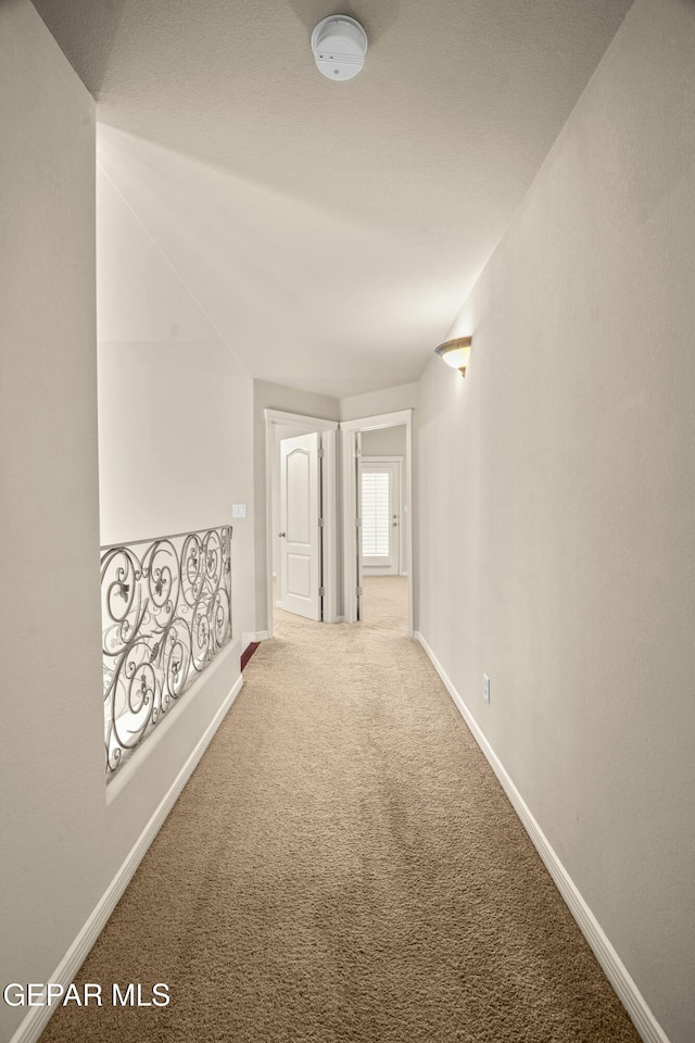 hallway with carpet flooring