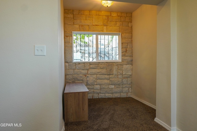 2406 Lebanon Rear, Rear, El Paso, TX 79930 - unfurnished room with dark carpet and baseboards