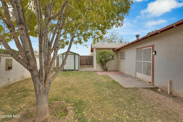 view of yard with a patio and a shed